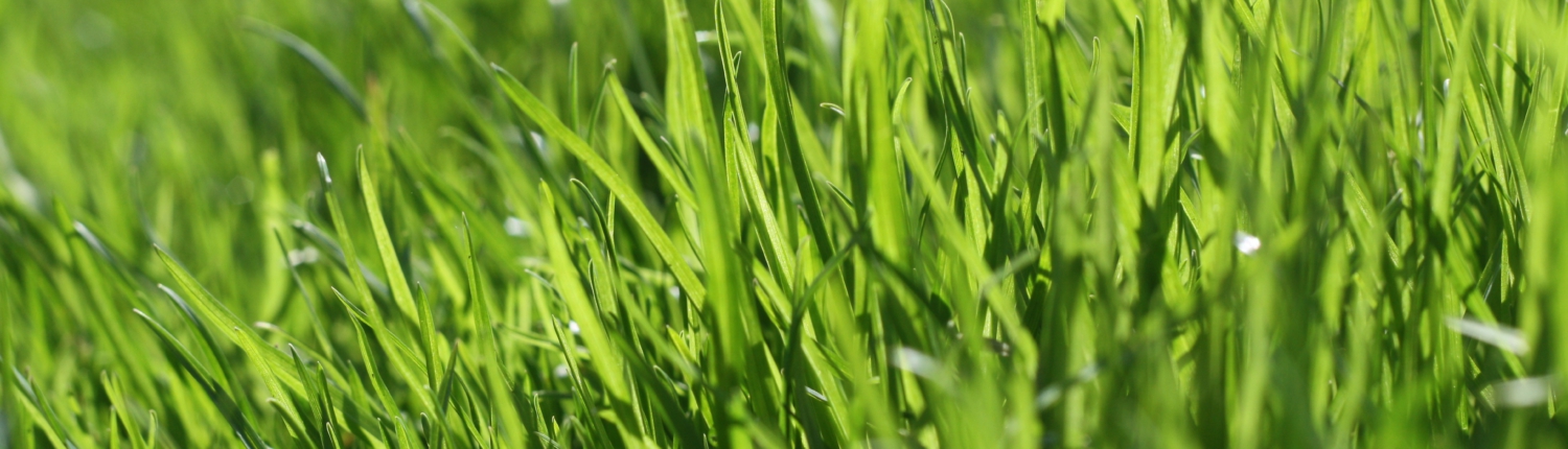 gras_dof