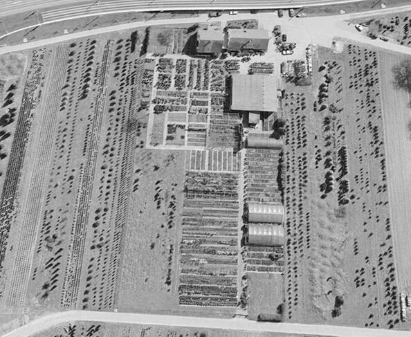 luftbild_bw